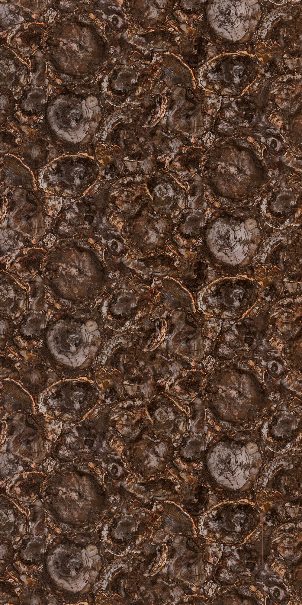 PA_337_BROWN_FIRE
