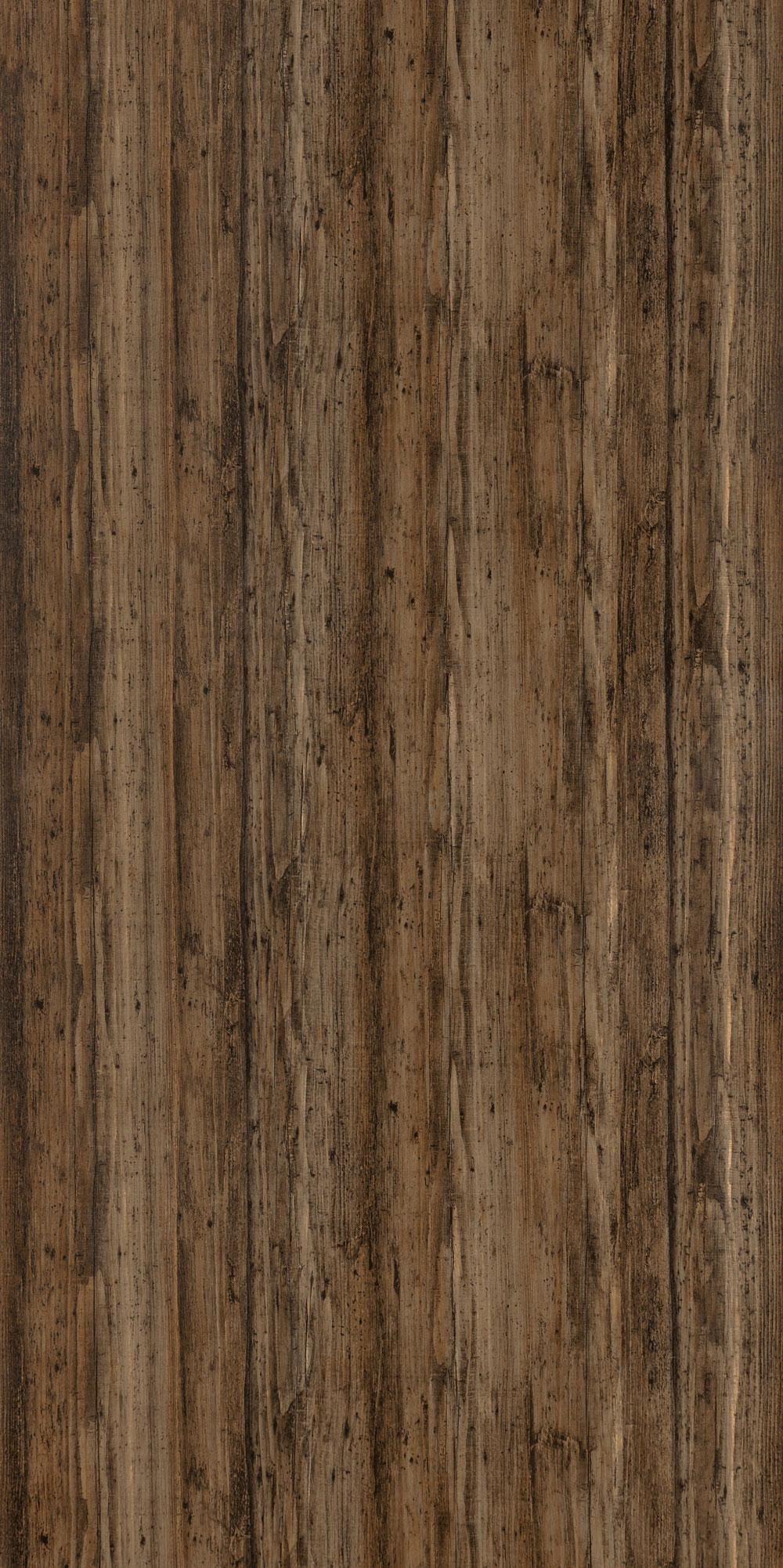 PA354 CALIFORNIA WALNUT