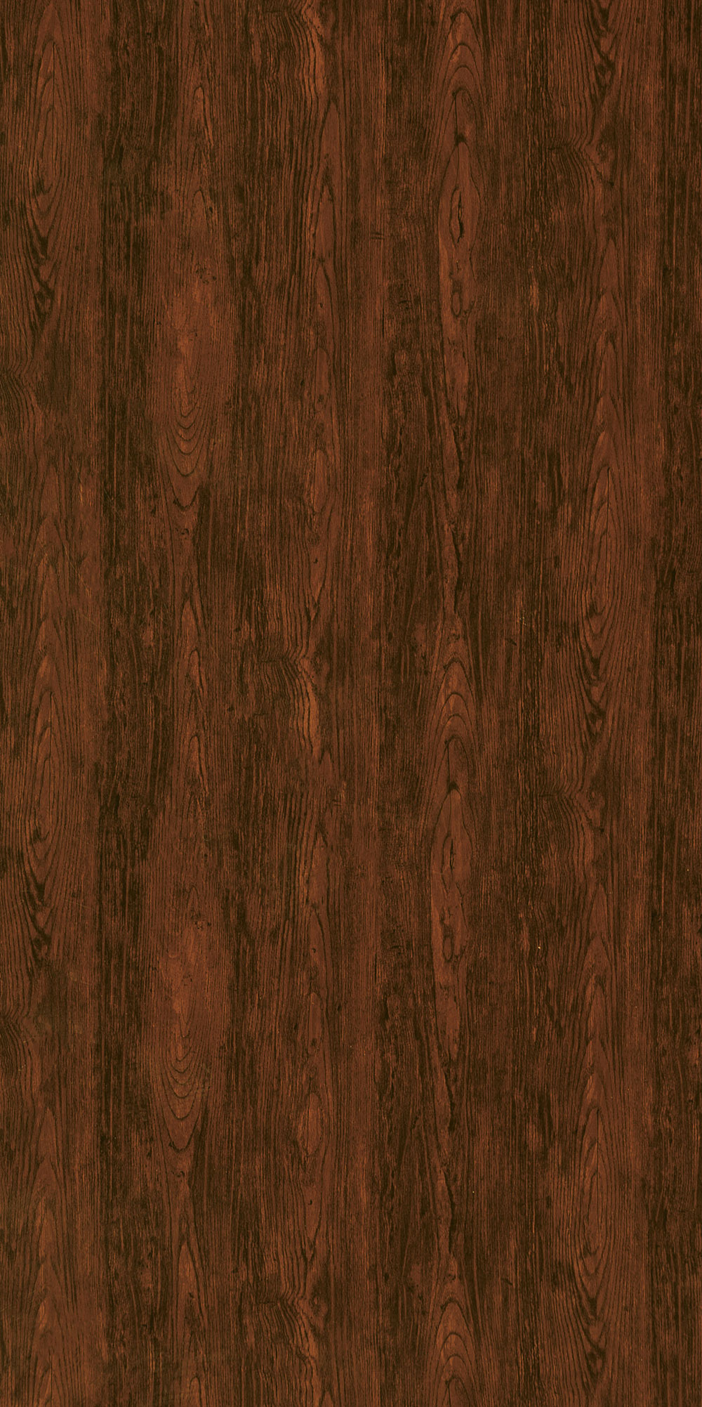 PA355 AFRICAN OAK
