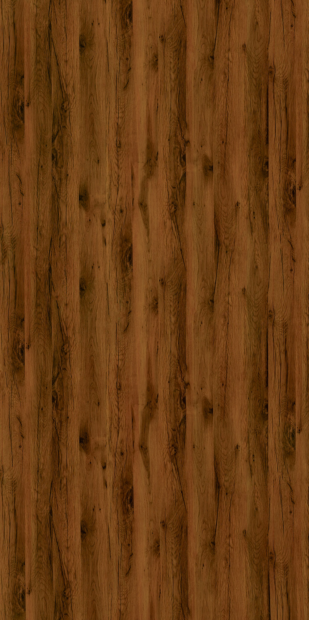 PA373 GOLDEN OAK
