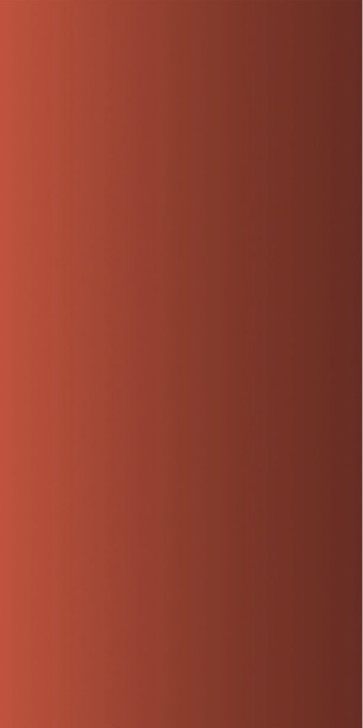 PA404 MIRROR ROSE GOLD